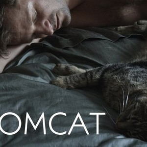 Tomcat photo 1