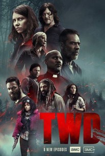 The Walking Dead: Season 10 poster image