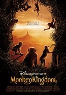 Monkey Kingdom poster image