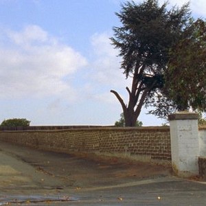 The Royal Road photo 5