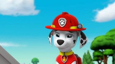 PAW Patrol  Rotten Tomatoes