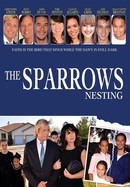 The Sparrows: Nesting poster image