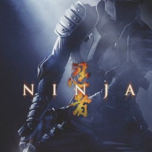 Ninja (2009) photo 13