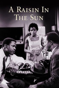 Image result for movie a raisin in the sun cover 1961