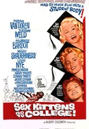 Sex Kittens Go to College poster image