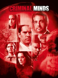 Criminal Minds Season 3 Episode 9 Rotten Tomatoes