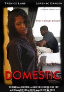Domestic poster image