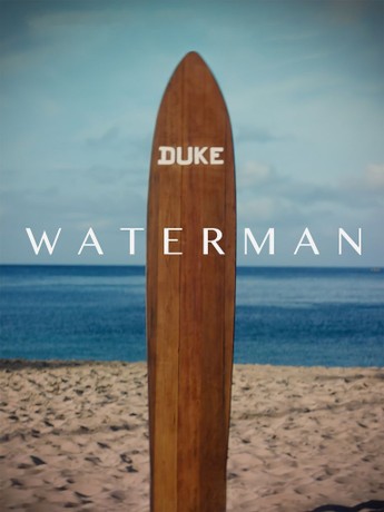 有村南海　のぼり　当選品　FANTASTIC WORLD LinQ WORLD LinQ 有村南海　のぼり　当選品　FANTASTIC