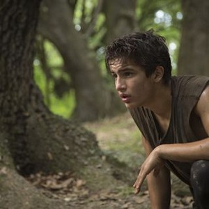 Aramis Knight - Rotten Tomatoes