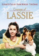 Courage of Lassie poster image