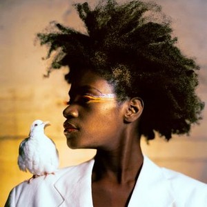 "Through a Lens Darkly: Black Photographers and the Emergence of a People photo 1"