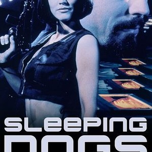 "Sleeping Dogs photo 5"