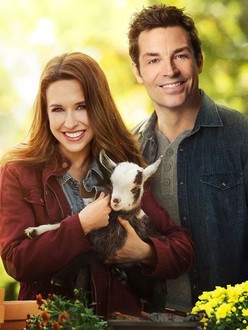 Watch all of my heart inn love online free hot sale