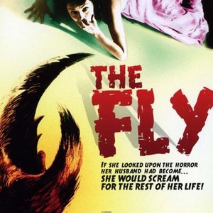 The Fly (1958) photo 9