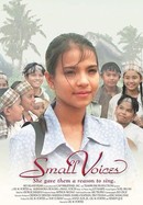 Small Voices poster image
