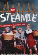 The Steamie poster image