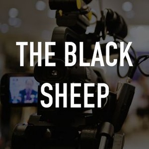 "The Black Sheep photo 7"