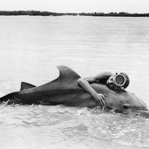 FLIPPER'S NEW ADVENTURE, Flipper, Luke Halpin, 1964