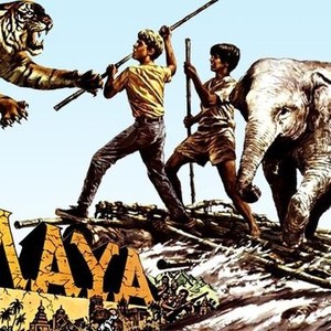 Maya photo 5