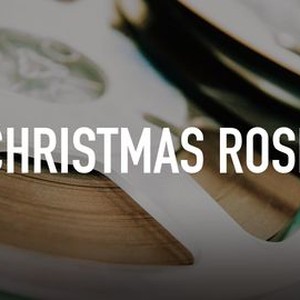 Christmas Rose photo 4