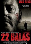 22 Bullets poster image