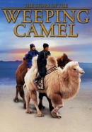 The Story of the Weeping Camel poster image