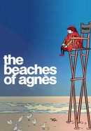 The Beaches of Agnès poster image