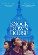 Knock Down the House poster image