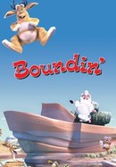 Boundin' poster image