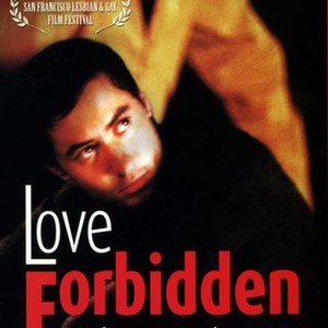 Love Forbidden (2002) photo 5