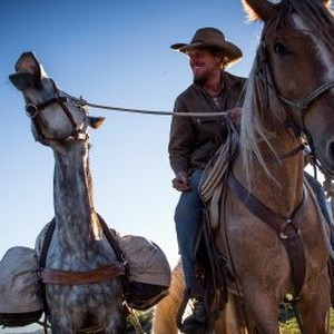 Unbranded (2015) photo 4