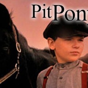 Pit Pony photo 4