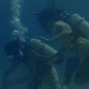 Barracuda (1978) photo 2