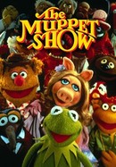 The Muppet Show poster image