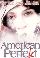 American Perfekt poster image