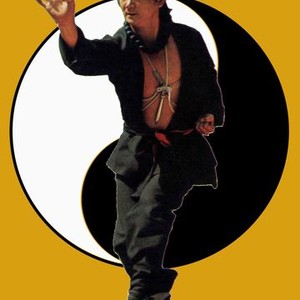 "The Best of Shaolin Kung Fu photo 2"