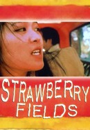 Strawberry Fields poster image