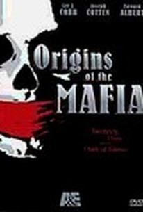 The Mafia And The Origin Of The