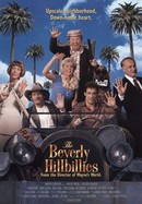 The Beverly Hillbillies poster image