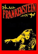 Frankenstein poster image
