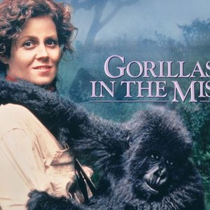 "Gorillas in the Mist photo 5"