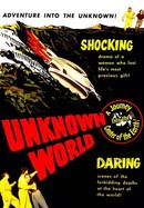 Unknown World poster image