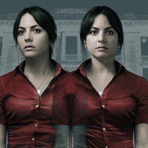 The Library Suicides (2016) photo 4