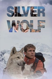 Silver Wolf | Rotten Tomatoes