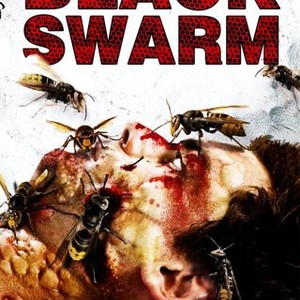 "Black Swarm photo 6"