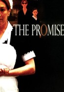 The Promise poster image