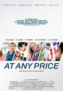 At Any Price poster image