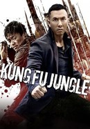Kung Fu Jungle poster image