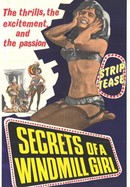 Secrets of a Windmill Girl poster image