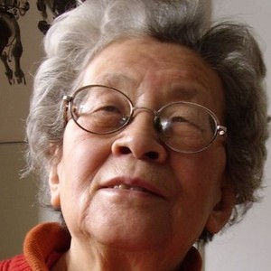 Fengming: A Chinese Memoir (2007) photo 7